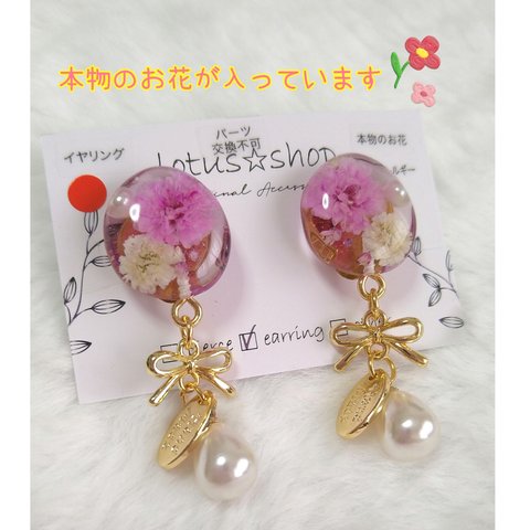 ピアス　イヤリング　レジン　本物のお花　No.014