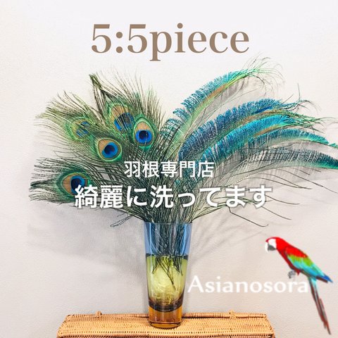 ❤️【クジャク 5:5】 ❤️高品質 ❤️孔雀の羽根❤️ 目玉 ハンドメイド アクセサリー 装飾　羽　素材　鳥　パーツ