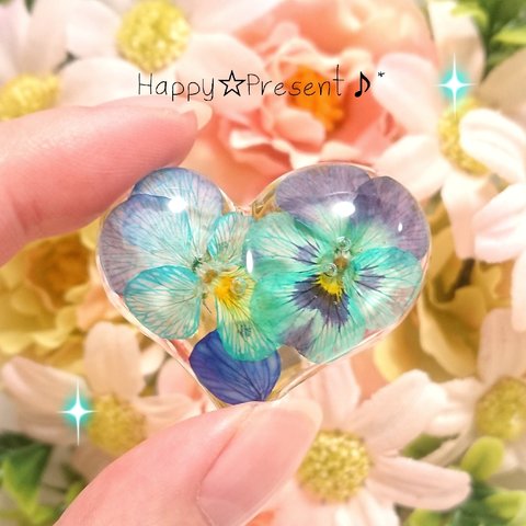 再販×2！大人可愛いblueビオラのぷっくりハートの選べるアクセサリー❤️✨ 送料無料 夏 本物の花 ブルー プレゼント ラッピング 限定 ヘアアクセサリー ブローチ ネックレス