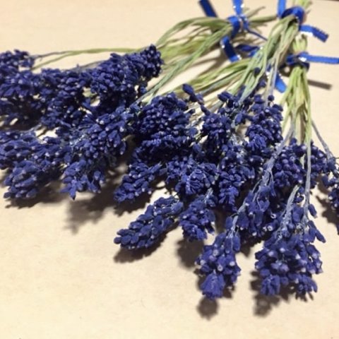 macoronのお花畑で咲いた青く涼やかなムスカリドライフラワー50本‼️