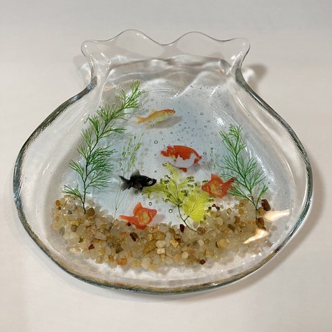 【小さな金魚鉢】泳ぐ金魚たち