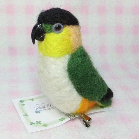 ズグロシロハラインコ mini♪☆マグネット/ブローチ どちらか選択   足有に変更可能      羊毛フェルト 鳥のオブジェ リアルバード 受注制作