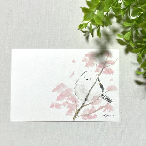 シマエナガの絵はがき【水彩画原画】