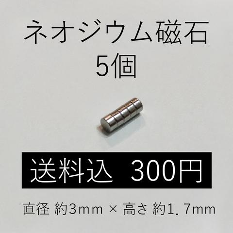 小型　ネオジウム磁石　5個組　☆送料無料☆ 