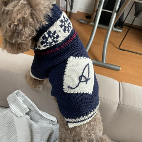 犬用ネックウォーマー&ネーム(頭文字ラフ:®️)入セーター