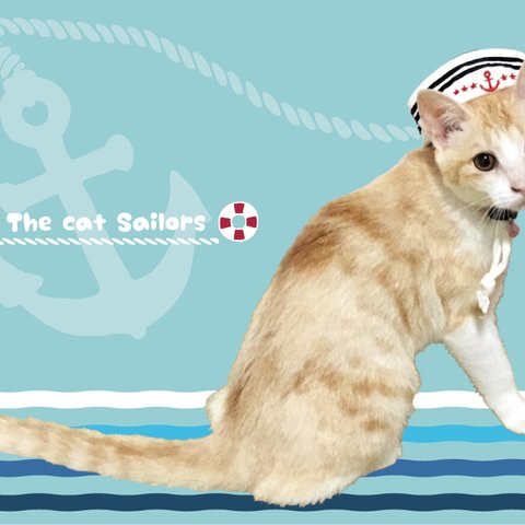 ちゃしろ猫ミャアーのオリジナルポストカード-水兵さん