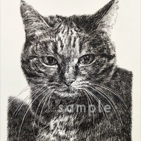 猫の似顔絵 描きます♪︎ 愛猫をアートに♪︎ ペン画(モノクロ・リアルな描画) オーダー制作品