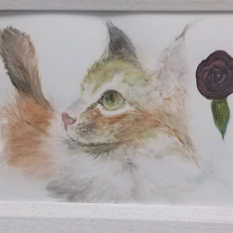 猫 水彩画原画 現品限り