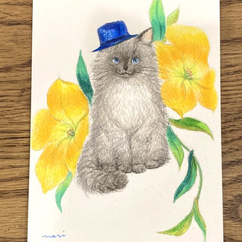 帽子の灰色ねこ　原画　額入り