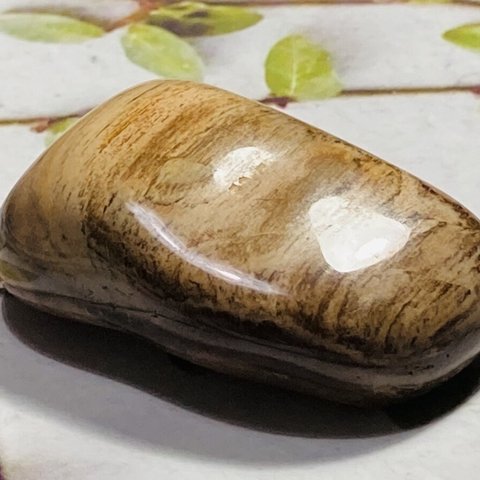 樹の化石✨　珪化木　ペトリファイドウッド　原石　タンブル