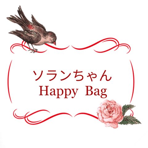 ☆福袋5足ソランちゃん靴下＊お楽しみHappy Bag＊ドール人形用ソックス