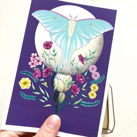 Luna Moth Art Postcard （version 1） オオミズアオアートはがき (バージョン１）
