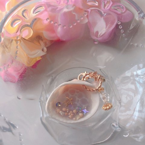 貝殻レジン🐚のcharm✩︎⡱