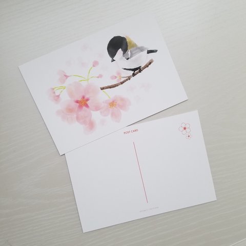 桜とシジュウカラ ポストカード2枚