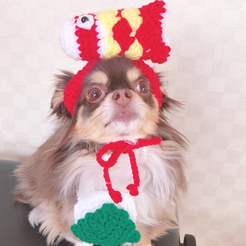 こどもの日🎏 犬用＆猫用 鯉のぼり帽子🎏💖端午の節句 柏餅ポシェット