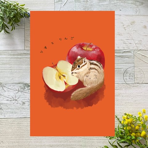 リスとりんご　イラストポストカード2枚セット