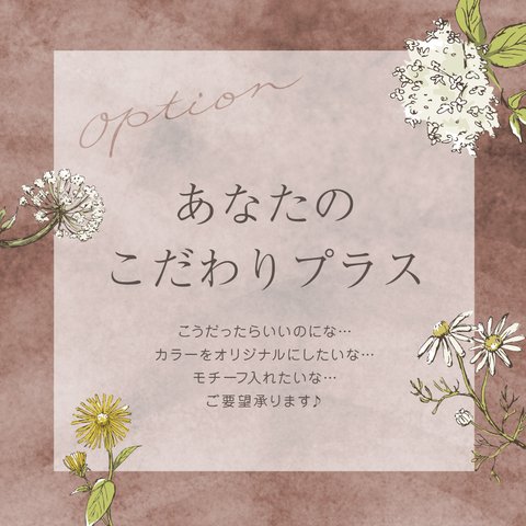 あなたのこだわりプラス【単体での購入不可】