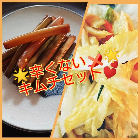 ❄クール便🆒❄🌟辛くないキムチセット🌟ペク(白)キムチ500g💓ニンニク茎醤油漬け150g