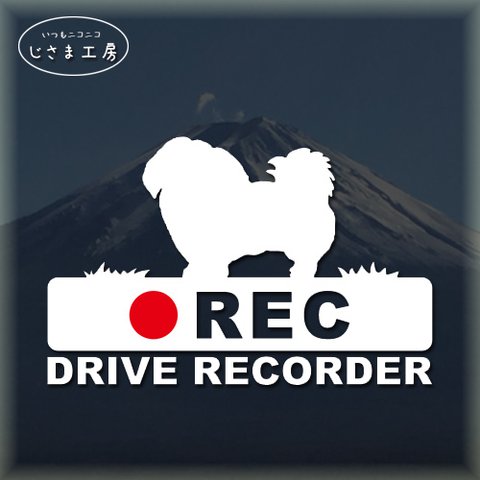 ペキニーズの白色シルエットステッカー‼後方注意‼『DRIVE　RECORDER』