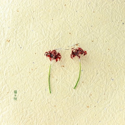 *:.。.:*゜彼岸花   曼珠沙華 赤 *:.。.:*゜ピアス（イヤリング） red spider lily  ディップアート フラワー 着物 一輪花  ≪敏感肌に安心≫ ニッケルフリー