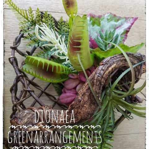 Green Arrangement～WILDなディオネア(食虫植物)×エアプランツ×ネイチャーバイン ギフト