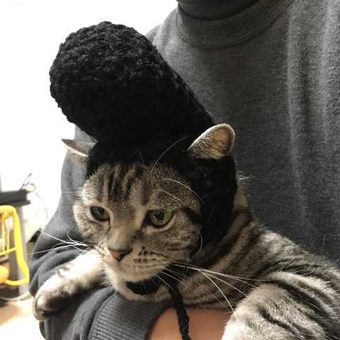 再販！猫用帽子 リーゼント