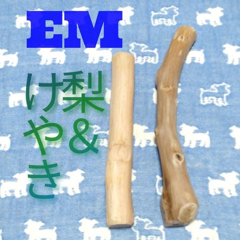 EM.けやき梨の木新品.犬用おもちゃ、小型犬向け歯固め、かじり木