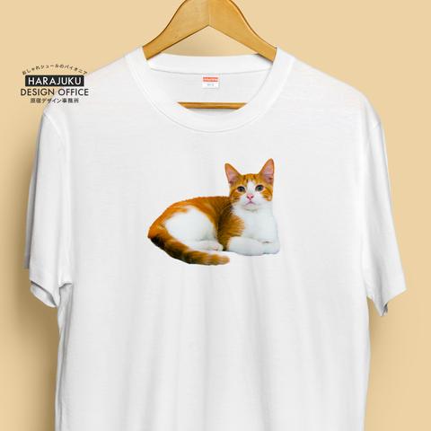 【半袖/長袖】オシャレおもしろTシャツ「くつろぎ猫」