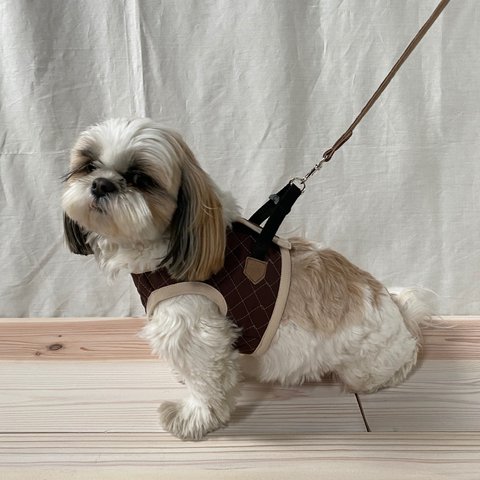 ベスト付きリード　小  犬グッズ ペットグッズ ペットアクセサリー ペットウェア ランマルシェ  