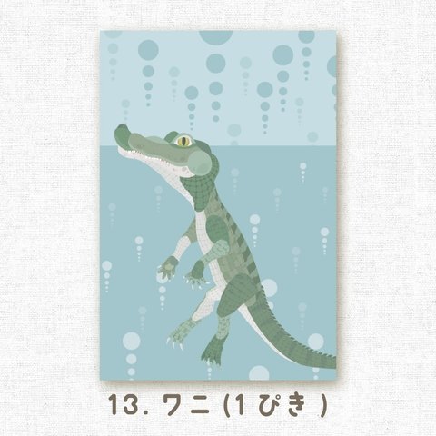 [選べるポストカード] No.13 ワニ（1ぴき）