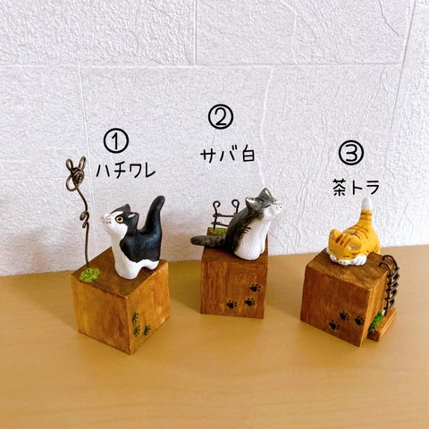 【送込】ミニチュア　猫&キューブ　茶トラ　サバ白　ハチワレ　フィギュア　オブジェ