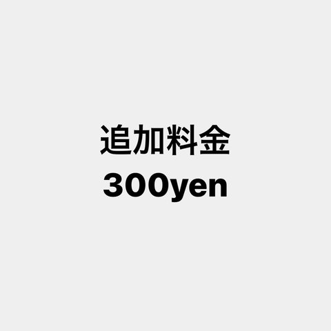 追加料金300円