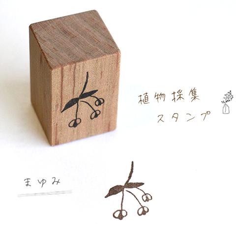 植物採集スタンプ：『まゆみ』