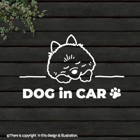 DOG IN CAR/ ポメラニアン【カッティングステッカー】手書きわんこ