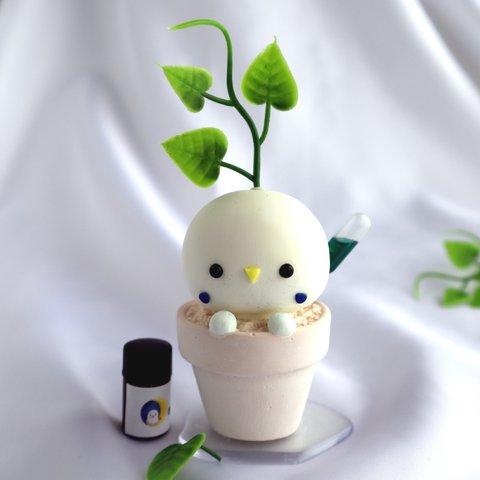 アロマで育つ植物 黄緑インコ 鉢植え ver. アロマストーン