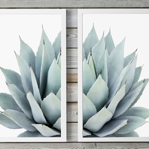 ◆観葉植物２枚組～大人のウォールアート◆モノトーンポスター２Lサイズ ★ボタニカルシリーズ