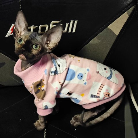 猫服 スフィンクス猫 薄くて快適ペット服 四季着用 3種類 かわいい アニメ柄 ピンク ブルー 紺色 ペットウェア