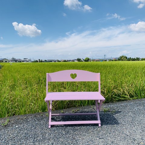 受注製作・Ｍサイズハート・ピオニーピンクわんちゃん撮影会用折り畳みベンチ