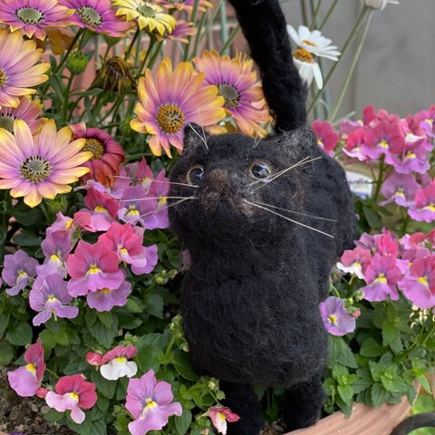 羊毛フェルト黒猫🐈‍⬛