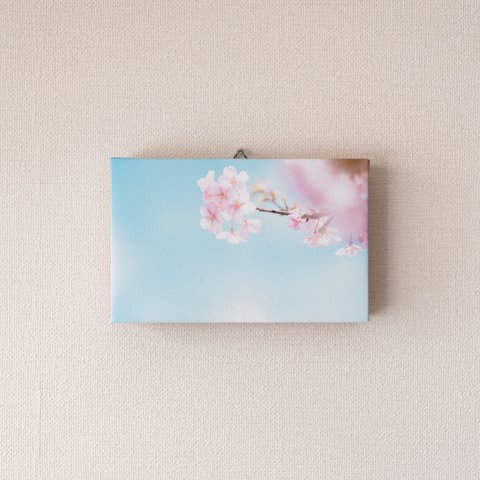 キャンバス風アートパネル　桜 春の風景　ファブリック調インテリア　写真のある暮らし