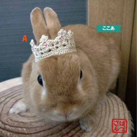 うさぎ用🐰王冠👑