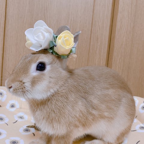 うさぎ 花冠 