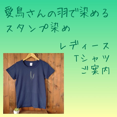 【Tシャツ・Ladies' L】【オーダーメイド】愛鳥さんの羽で染める