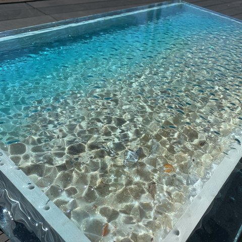 センターテーブル  モルジブの海 ハウスリーフ  コバンアジ 波紋 水面 水中　table  Sea カフェテーブル　コーヒーテーブルリビング