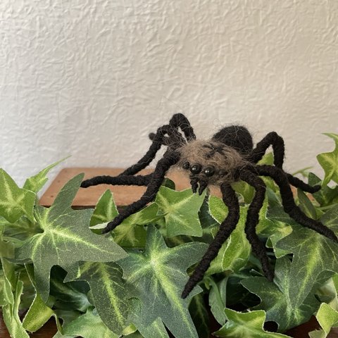 羊毛フェルト 蜘蛛🕷