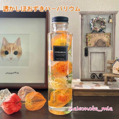 透かしほおずきハーバリウム【オレンジ】円柱瓶Mサイズ
