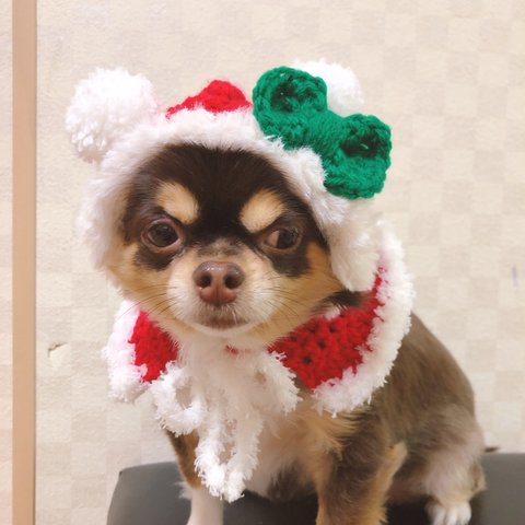 再販‼️犬用＆猫用 クリスマスくまさん帽子🎅🏻🐻♥️ クリスマス