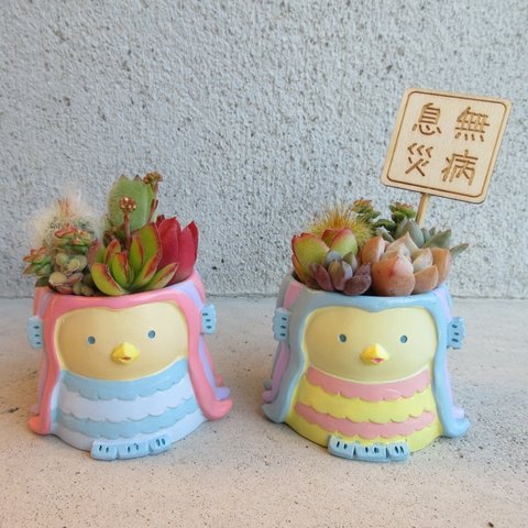 🆕再再販♡疫病退散!!アマビエちゃんの多肉3~4種寄せ植え（無病息災・贈り物に♡）