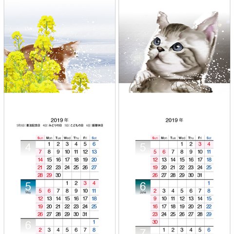 猫a　2019年度月捲りカレンダー