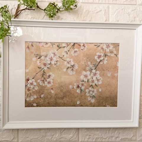さくら の イラスト 「 桜 」 原画